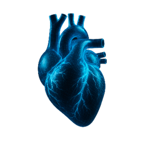 file_000000006acc620a8ecf4e5bf2beb686